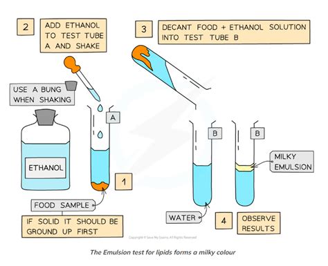 ethanol test for lipids|2.2.9 Biochemical Tests: Lipids .